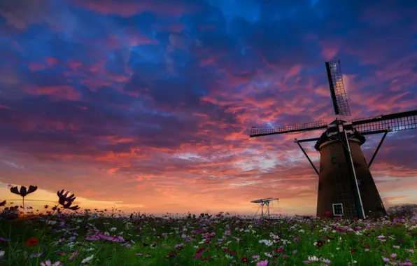 Картинка поле, небо, облака, цветы, сумерки, ветряная мельница