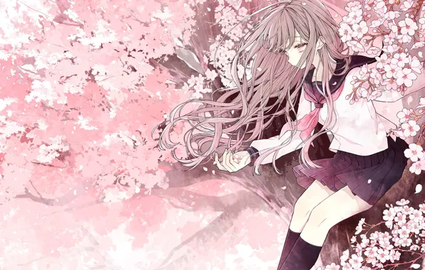 Картинка девушка, цветы, дерево, сакура, на дереве