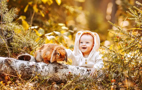 Картинка осень, лес, радость, природа, животное, кролик, малыш, ствол, ребёнок, младенец, Анастасия Алексеева