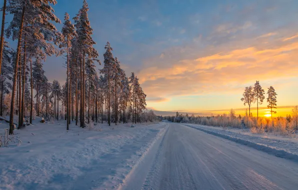 Картинка зима, дорога, снег, деревья, восход, рассвет, утро, сосны, Финляндия