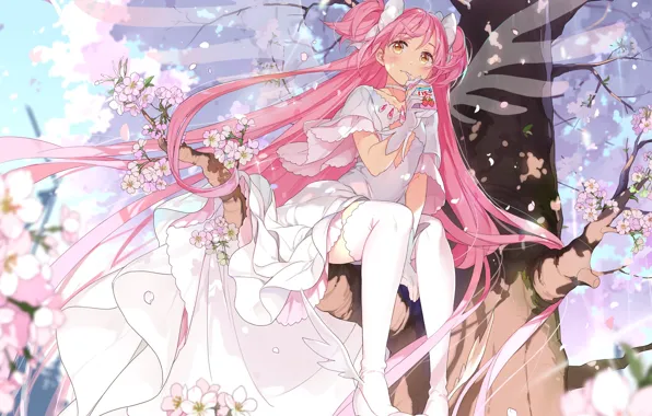 Картинка Девушка, фэнтези, mahou shoujo madoka magica, розовые волосы