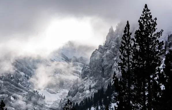 Картинка зима, облака, снег, деревья, горы, природа, скалы