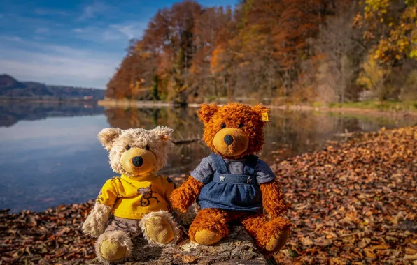 Картинка осень, парк, берег, листва, игрушка, игрушки, медведь, медведи, мишка, медвежонок, медвежата, парочка, дуэт, мишки, водоем, …