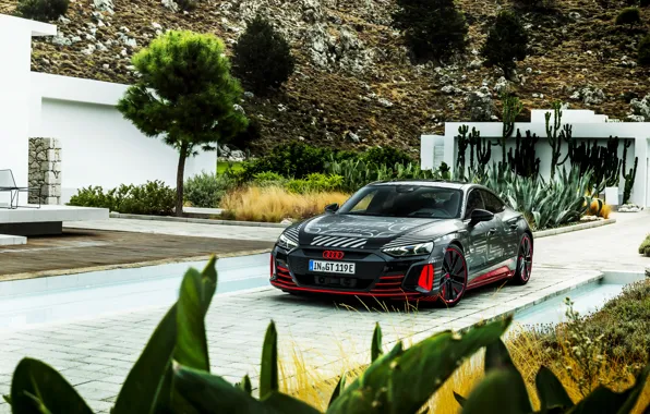 Картинка Audi, растительность, купе, 2020, RS e-Tron GT Prototype