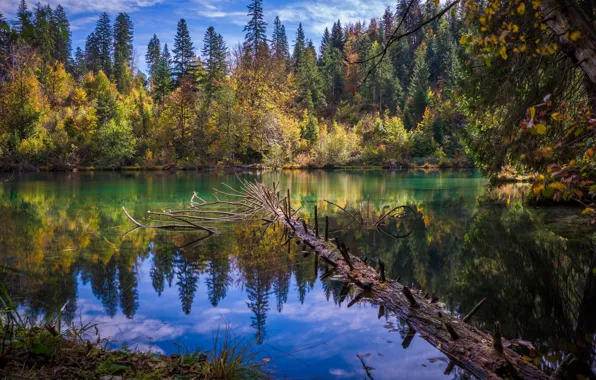 Картинка осень, лес, пейзаж, природа, озеро, отражение, Швейцария, озеро Cresta