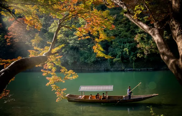 Картинка осень, парк, река, лодка, канал