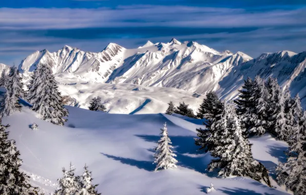 Картинка зима, снег, деревья, горы, Швейцария, ели, Пеннинские Альпы