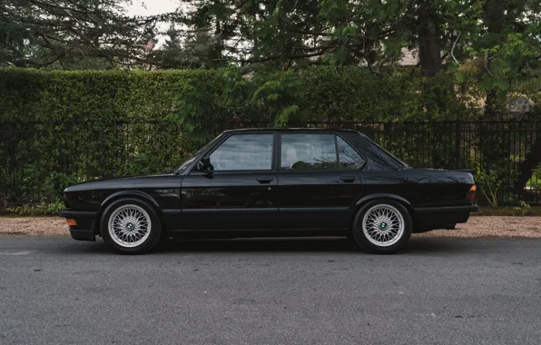 Картинка BMW, E28, 1988, M5