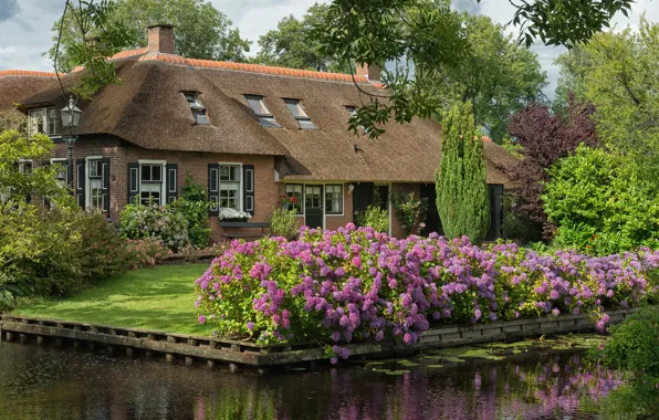 Картинка дизайн, дом, канал, Нидерланды, Голландия, озеленение