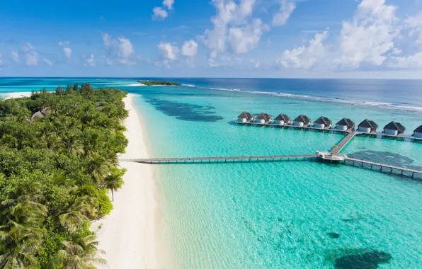 Картинка пляж, пальмы, океан, Мальдивы, курорт, Maldives, Jumeirah Vittaveli, Kanuhura aerial