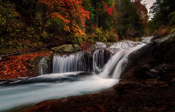 Картинка осень, лес, листья, камни, водопад, листопад