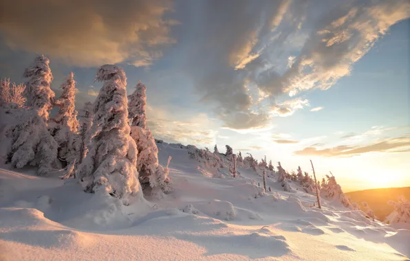 Картинка зима, лес, небо, солнце, облака, свет, снег, холмы, ели, склон, сугробы, ёлочки, заснеженные, занесенные снегом