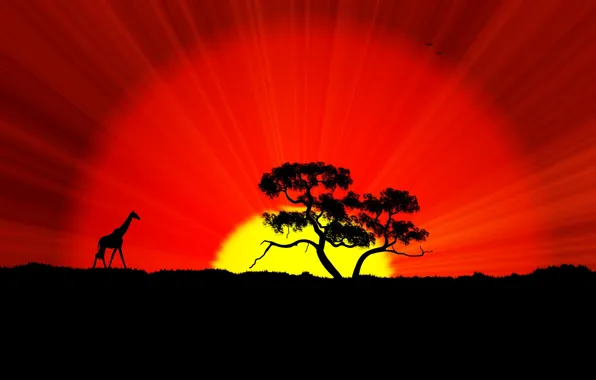 Картинка солнце, закат, дерево, жираф, африка