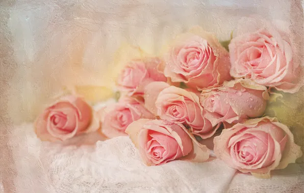 Картинка капли, цветы, розы, букет, ткань, розовые