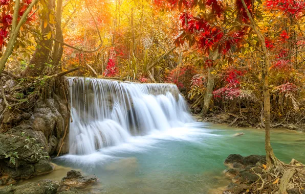 Картинка осень, лес, водопад