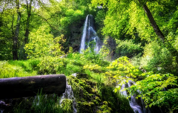 Картинка зелень, лес, лето, листва, водопад, поток, бревно