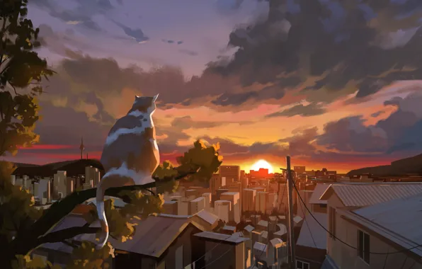 Картинка кошка, небо, закат, город, дерево