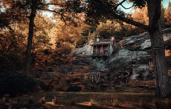 Картинка дом, дерево, гора