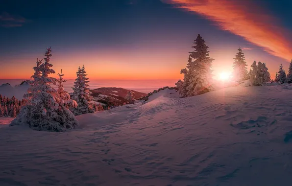 Картинка зима, снег, закат, вечер