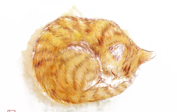 Картинка кошка, спит, полосатая