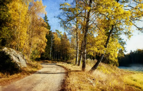 Картинка дорога, осень, лес, свет, деревья, природа, ветви, стволы, листва, живопись, желтая, кроны, золотая осень, осенний …