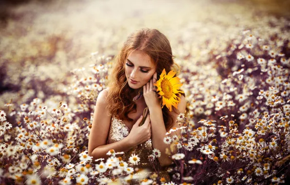 Картинка поле, цветок, лето, девушка, цветы, желтый, природа, поза, стиль, поляна, ромашки, подсолнух, руки, макияж, луг, …