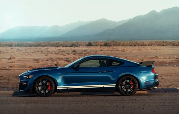 Картинка синий, Mustang, Ford, Shelby, GT500, вид сбоку, 2019