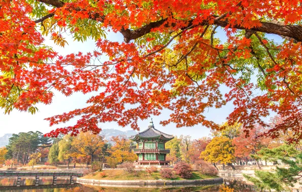 Картинка осень, листья, деревья, парк, nature, bridge, park, autumn, lake, leaves, tree, Korea, temple