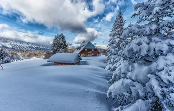 Картинка зима, лес, облака, снег, деревья, горы, склоны, дома, ели, крыши, деревня, сугробы, домики, голубое небо, …