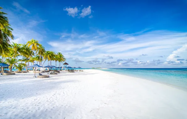 Картинка песок, пляж, пальмы, океан, Мальдивы, курорт, Maldives, Finolhu beach