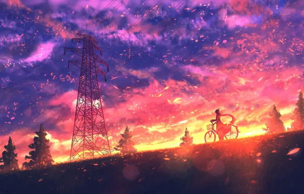 Картинка девушка, закат, природа, велосипед