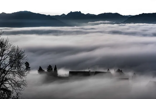 Картинка горы, природа, туман