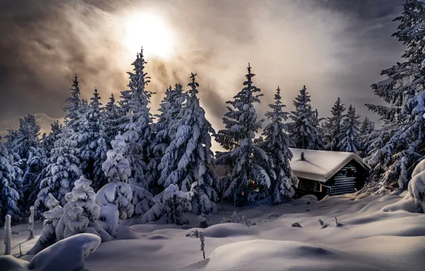 Картинка зима, снег, деревья, пейзаж, природа, дом, ели, сугробы, Robert Didierjean