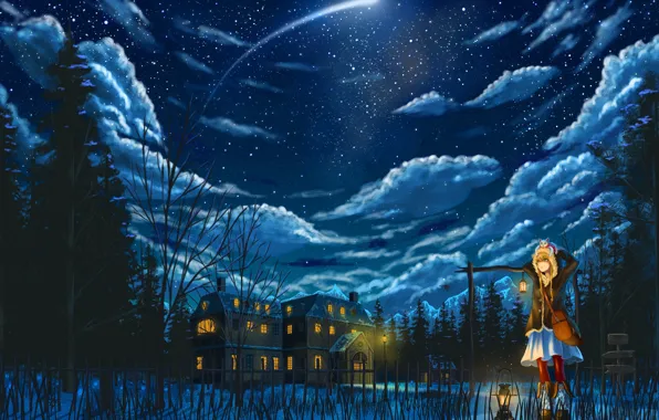 Картинка зима, кот, девушка, облака, снег, снежинки, ночь, аниме, арт, pixiv fantasia