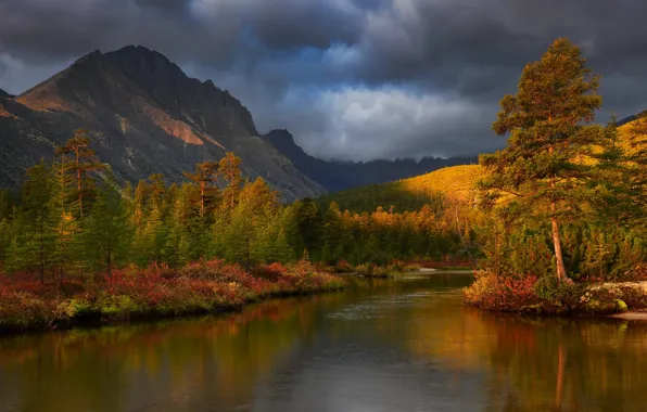 Картинка осень, лес, свет, горы, озеро, берег, сосна, кустарники