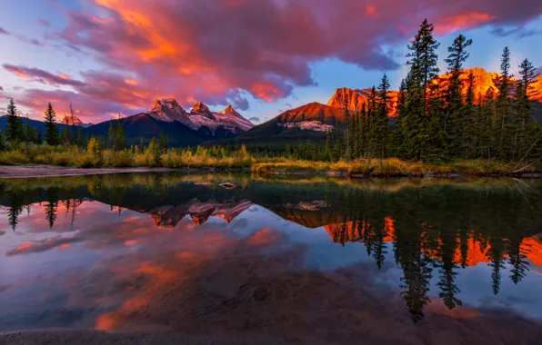 Картинка деревья, закат, горы, отражение, река, Канада, Альберта, Alberta, Canada, Канадские Скалистые горы, Канмор, Policeman's Creek, …