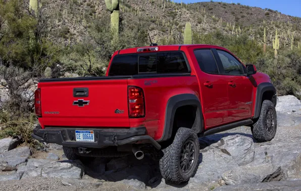Картинка красный, Chevrolet, вид сзади, пикап, Colorado, 2019, ZR2 Bison