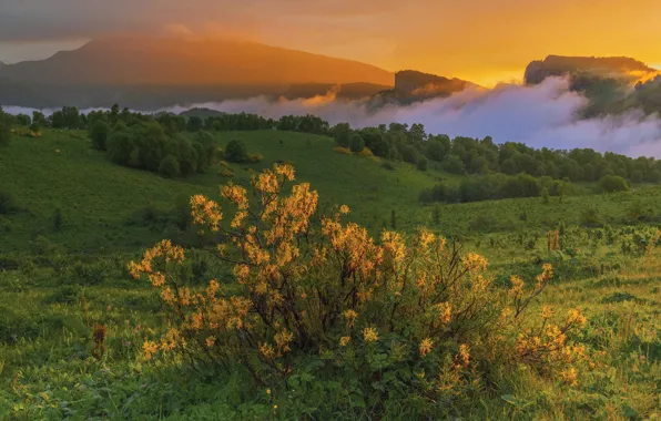 Картинка облака, пейзаж, закат, горы, природа, Кавказ, луга, Владимир Рябков, Бароновы поляны