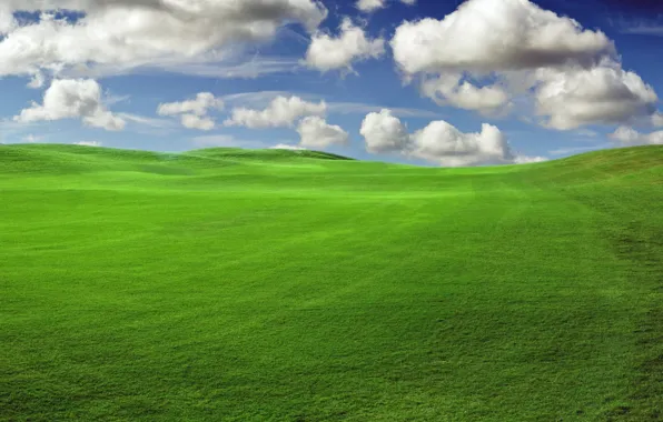 Картинка поле, облака, зеленый, горизонт, луг