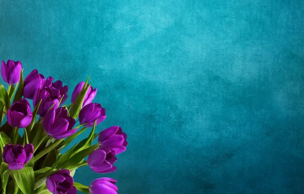 Картинка цветы, фон, букет, тюльпаны
