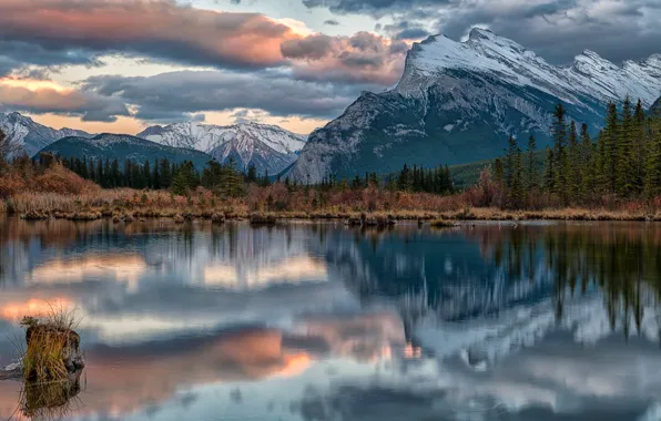 Картинка лес, горы, озеро, Канада, Альберта, Banff National Park, Alberta, Canada, Mount Rundle, Национальный парк Банф, …