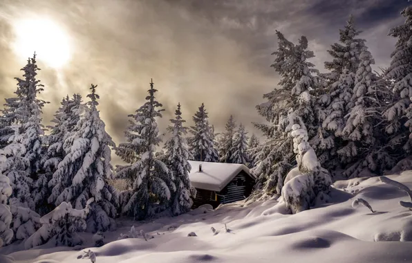 Картинка зима, снег, деревья, пейзаж, природа, дом, ели, склон, Robert Didierjean