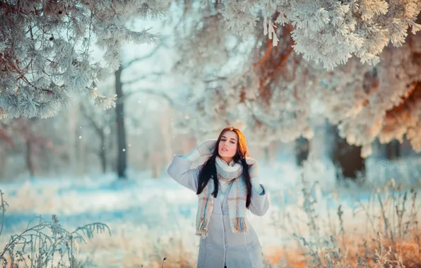 Картинка зима, иней, лес, взгляд, девушка, свет, снег, деревья, природа, поза, парк, поляна, шарф, шатенка, прогулка, …