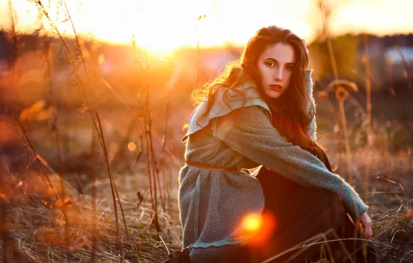 Картинка Девушка, на закате, сидит в поле