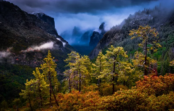 Картинка деревья, горы, Калифорния, California, Национальный парк Йосемити, Yosemite National Park, Сьерра-Невада, Sierra Nevada