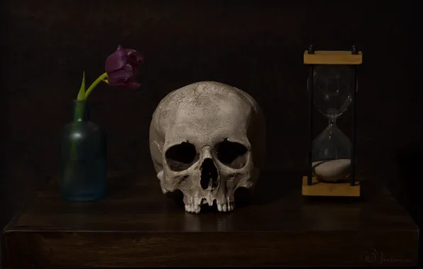 Картинка цветок, часы, череп