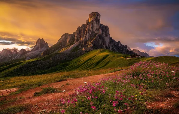 Картинка цветы, горы, скалы