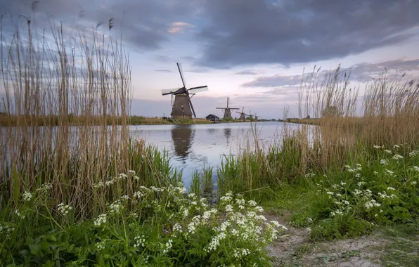 Картинка Holland, Sunset, Kinderdijk, South Holland, Elshout