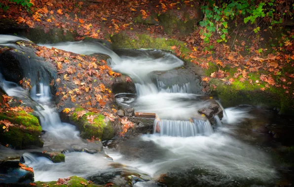 Картинка осень, камни, водопад, листопад, осенние листья