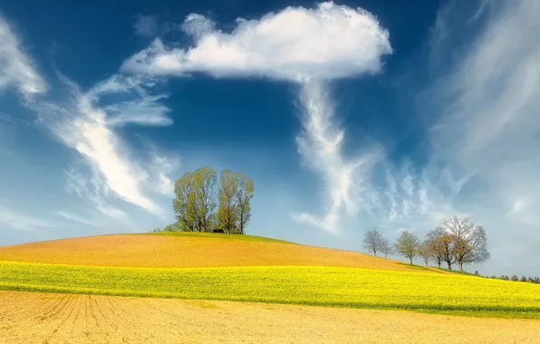 Картинка поле, небо, деревья, Швейцария